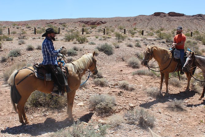 Horseback Ride in Las Vegas - Customer Feedback
