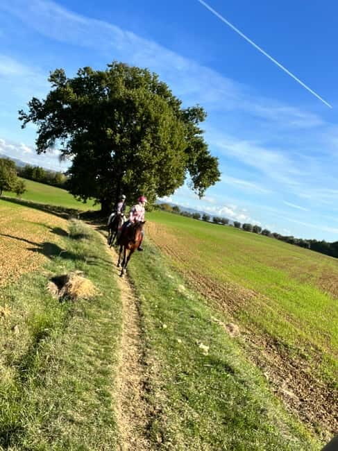 Horseback Ride in Tuscany with Lunch in da Vincis Land - The Itinerary: What to Expect
