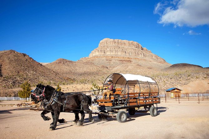 Horseback Ride, Joshua Tree Forest, Buffalo, Lunch Singing Cowboy - Highlights of the Horseback Ride