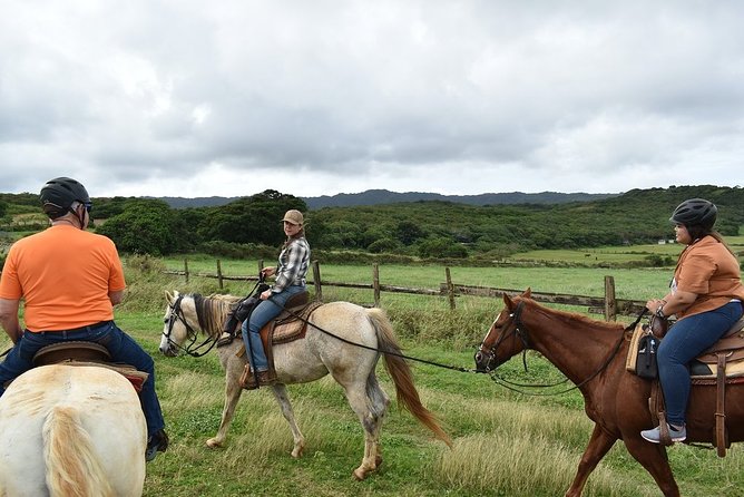 Horseback Ride Like an Authentic Paniolo in Kahuku - What to Expect During the Ride