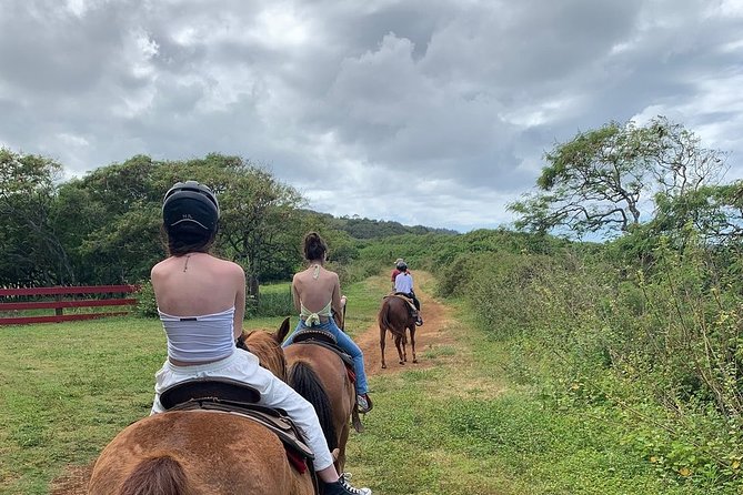 Horseback Ride Like an Authentic Paniolo in Kahuku - Scenic Trails and Paniolo Insights