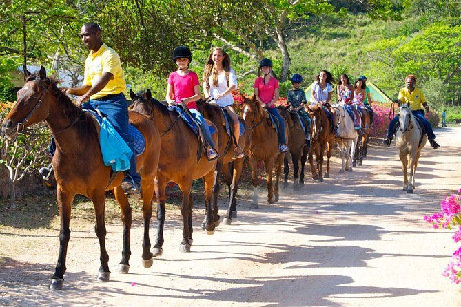 Horseback Ride n Swim and Green Grotto Adventure Tour from Falmouth - What This Tour Means for You