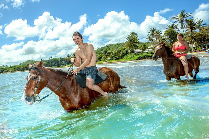 Horseback Ride N Swim St. Lucia From Castries - Tour Overview