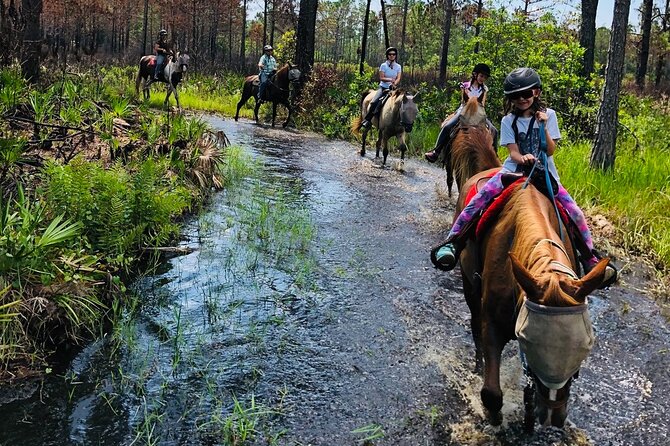 Horseback Ride on Scenic Lake Louisa Trails - Highlights From Customer Experiences