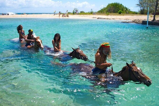 Horseback Ride & Swim Jamaica/Montego Bay - Key Points