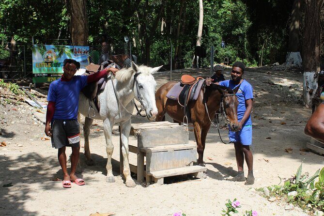 Horseback Ride & Swim Jamaica/Montego Bay - Who Should Consider This Tour?