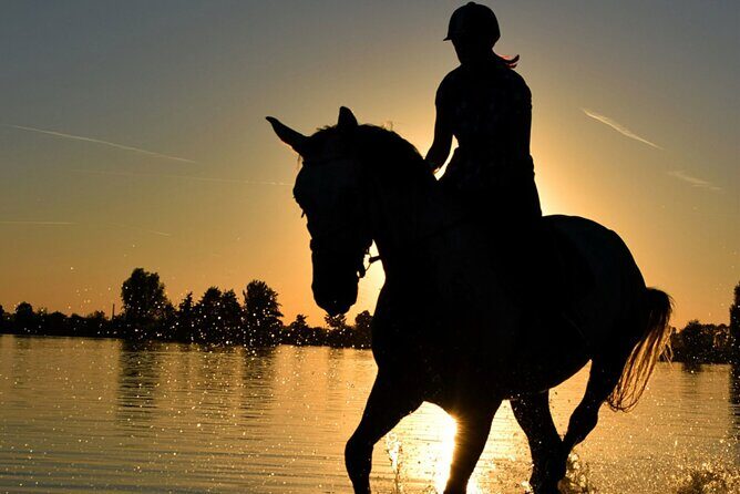 Horseback Ride Through Puerto Plata - A Deep Dive into the Experience