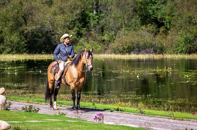 Horseback Ride Through Puerto Plata - Who Will Love This Tour?