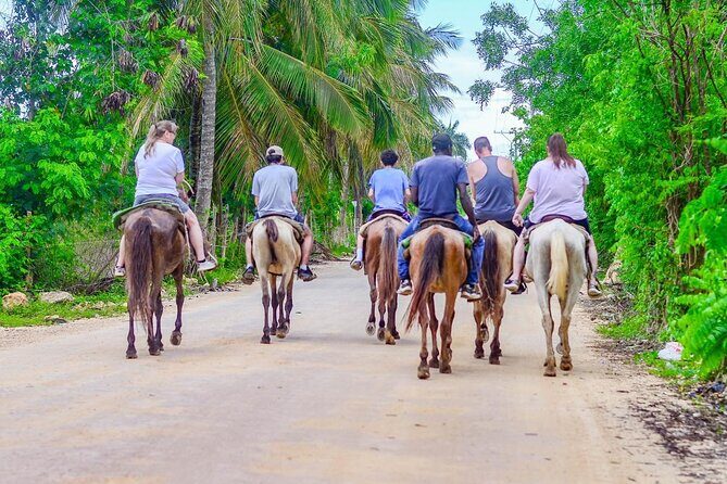 HORSEBACK - RIDE Through Punta Cana - Who Will Love This Tour?