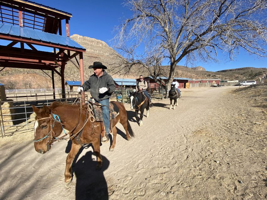 Horseback Ride Thru Joshua Tree Forest With Buffalo & Lunch - Inclusions