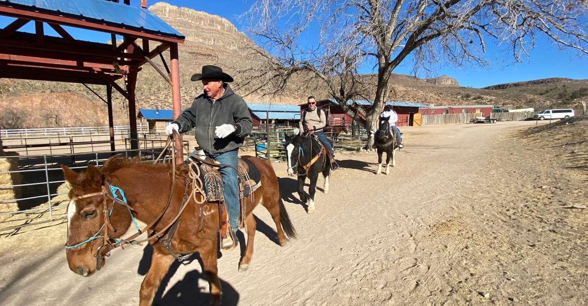 Horseback Ride Thru Joshua Tree Forest With Buffalo & Lunch - Important Information