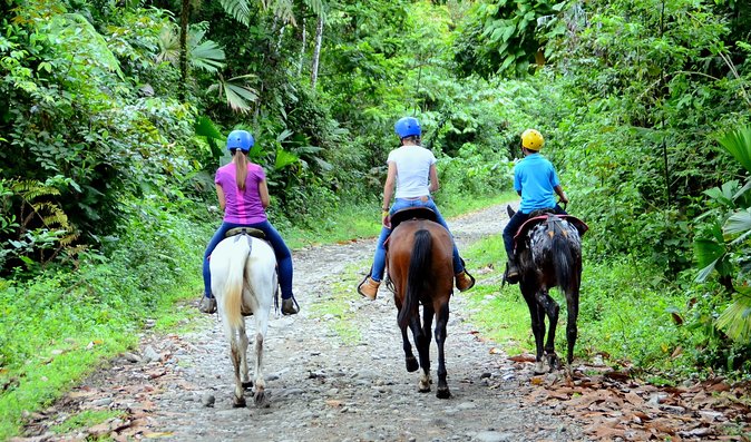 Horseback Ride to La Fortuna Waterfall - Considerations for Health and Safety