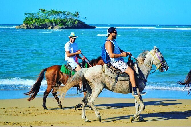 Horseback Ride Tour on the Beach in Puerto Plata - Introduction