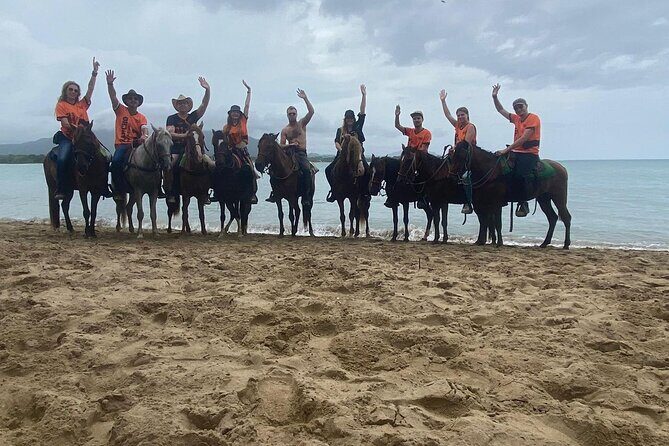 Horseback Ride Tour on the Beach in Puerto Plata - The Sum Up