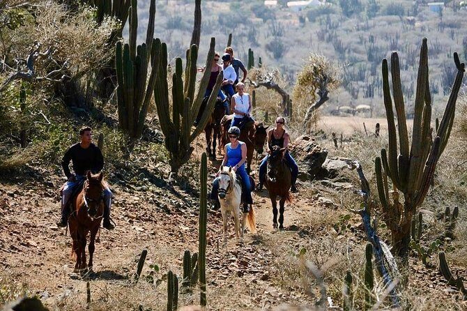 Horseback Ride Tour to Natural Pool in Arikok National Park - Introduction to the Aruba Horseback Adventure