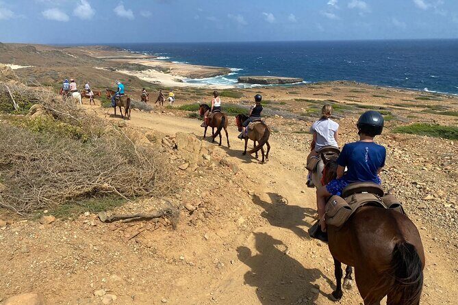 Horseback Ride Tour to Natural Pool in Arikok National Park - Who This Tour Is Best For