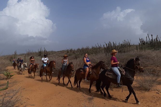 Horseback Riding 2 Hr SUNSET , Rock formation & North Coast Ride - Logistics and Practical Tips