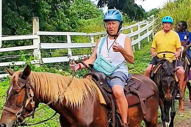 Horseback Riding, A Scenic Escape - The Value Proposition