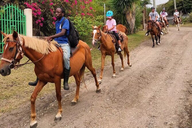 Horseback Riding, A Scenic Escape - Who Will Love This Tour?