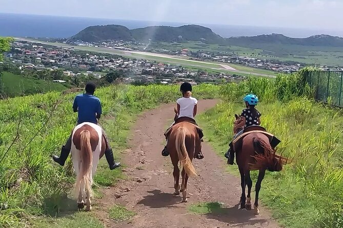 Horseback Riding, A Scenic Escape - Good To Know