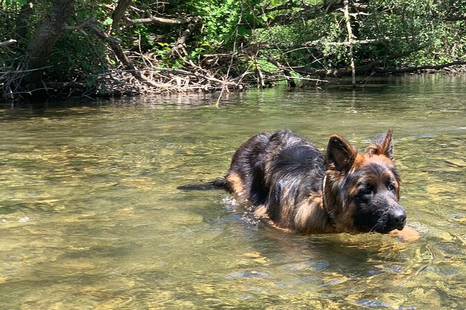 Horseback Riding Across River Ljuta With Transport - Health and Safety