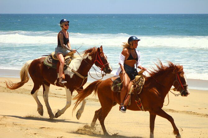 Horseback Riding Adventure in Playa Migriño with Tequila Tasting - Exploring the Baja Landscape by Horseback