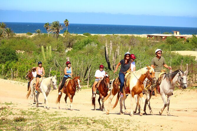 Horseback Riding Adventure in Playa Migriño with Tequila Tasting - Whale Watching: A Seasonal Bonus
