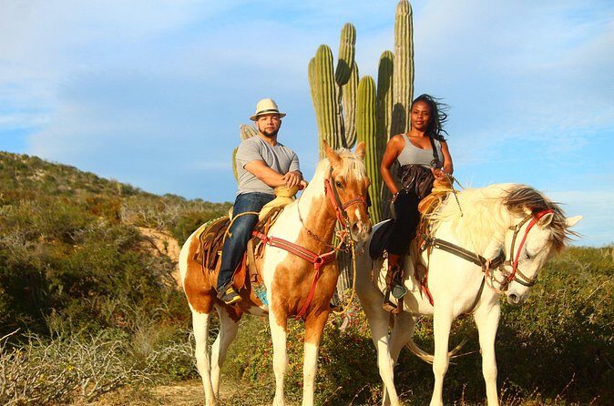 Horseback Riding Adventure in Playa Migriño with Tequila Tasting - Authentic Experiences and Honest Feedback