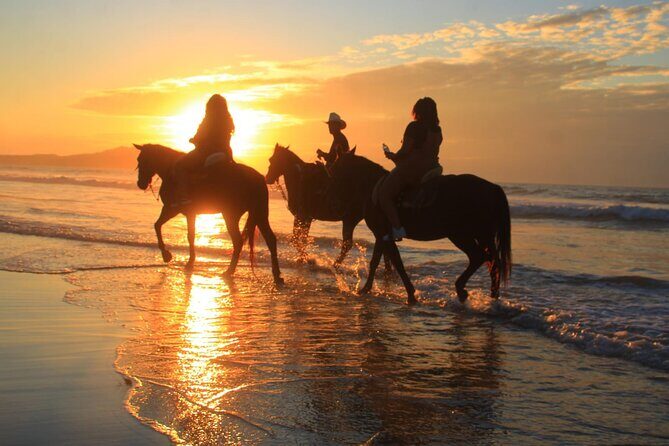 Horseback Riding Adventure in Punta Mita Nayarit - What Travelers Say