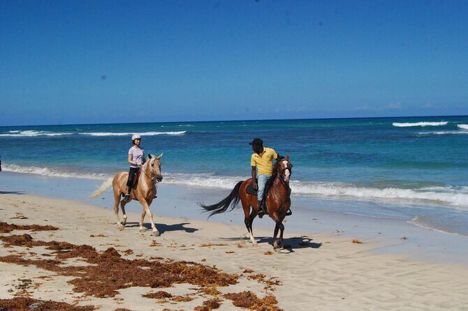 Horseback Riding Adventure Punta Cana - In The Sum Up