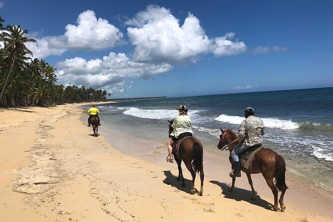 Horseback Riding Adventure to Macao Alto Beaches in Punta Cana - An In-Depth Look at the Tour Experience