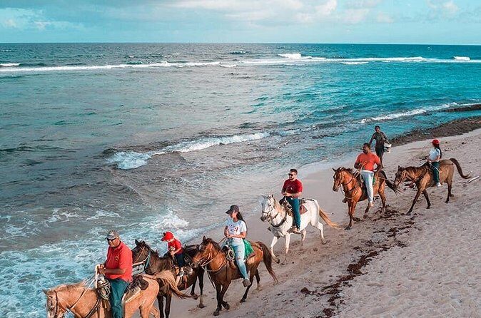 Horseback Riding Adventure to Macao Alto Beaches in Punta Cana - Who Should Consider This Tour?