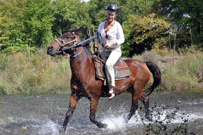 Horseback Riding Adventure Tour From Kusadasi and Selcuk - Inquiries and Customer Support