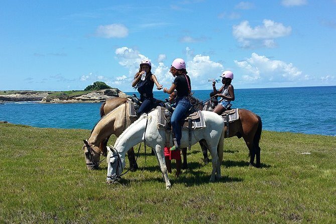 Horseback Riding Adventure Tour in St. Lucia - Key Points