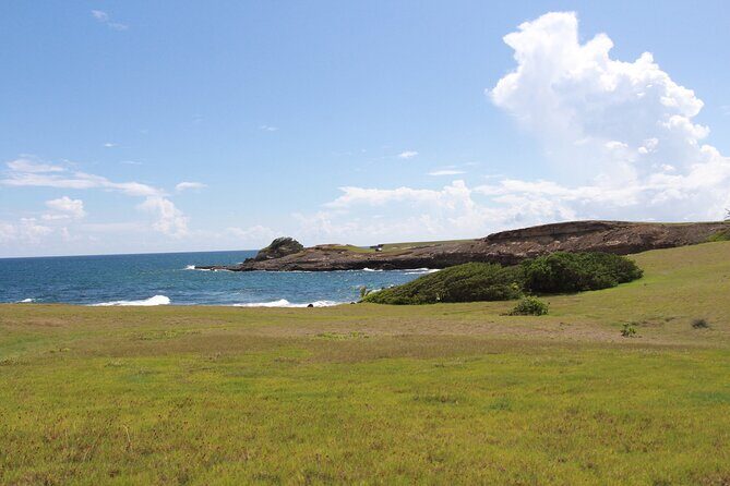 Horseback Riding Adventure Tour in St. Lucia - Who Will Love This Tour