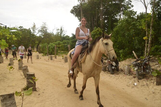 Horseback riding along Macao beach from Punta Cana - An In-Depth Look at the Horseback Riding Tour