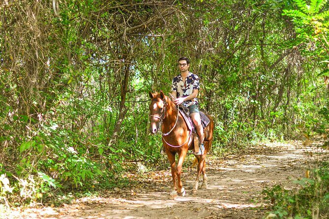 Horseback Riding along Macao Beach with Transportation - The Itinerary in Detail