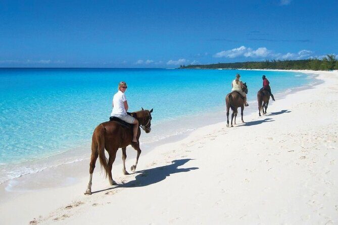 Horseback Riding along the Beach - The Experience in Detail