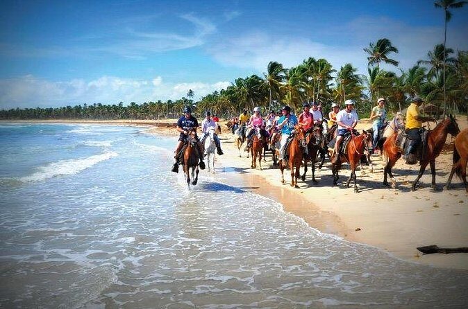 Horseback Riding along the Beach - The Sum Up