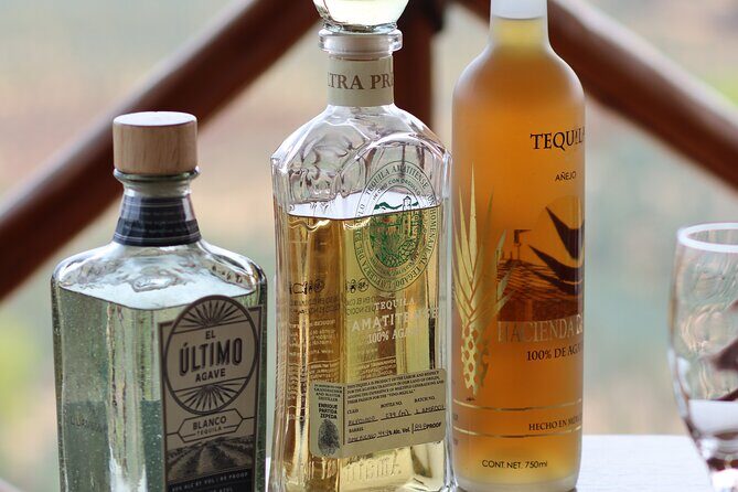 Horseback Riding among Agaves and Food: Experience the Morning in Amatitan - Who Should Consider This Tour?