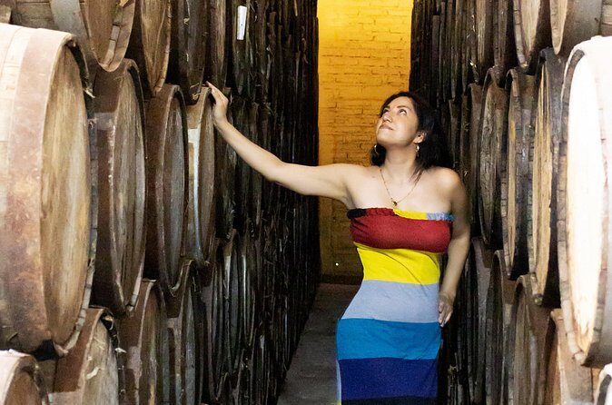 Horseback Riding among Agaves and Food: Experience the Morning in Amatitan - The Sum Up