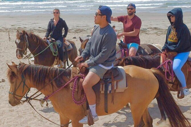 Horseback Riding And a Visit to La Bufadora Ensenada - The Itinerary Breakdown: What to Expect