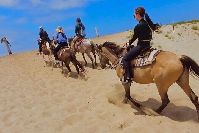 Horseback Riding And a Visit to La Bufadora Ensenada - Practical Details and Considerations