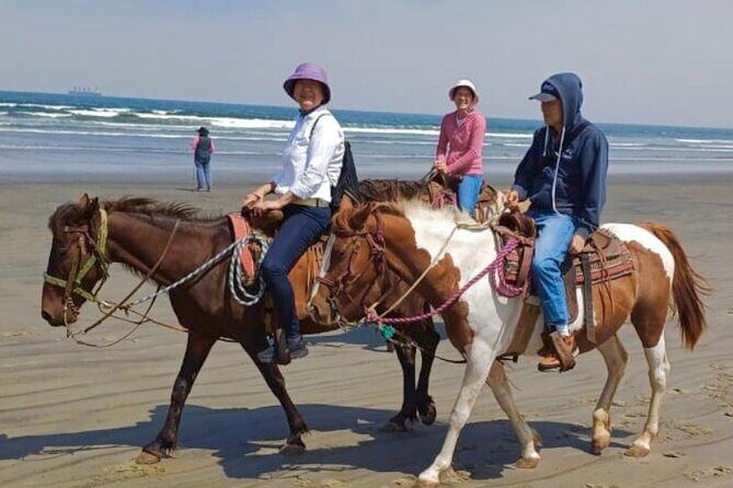 Horseback Riding And a Visit to La Bufadora Ensenada - Who Is This Tour Best For?