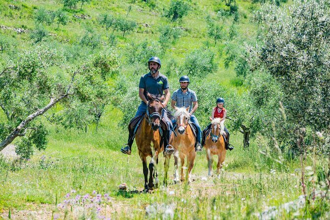 Horseback riding and aperitif 2 hours for beginners - Key Points
