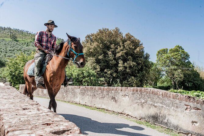 Horseback riding and aperitif 2 hours for beginners - What the Reviews Say