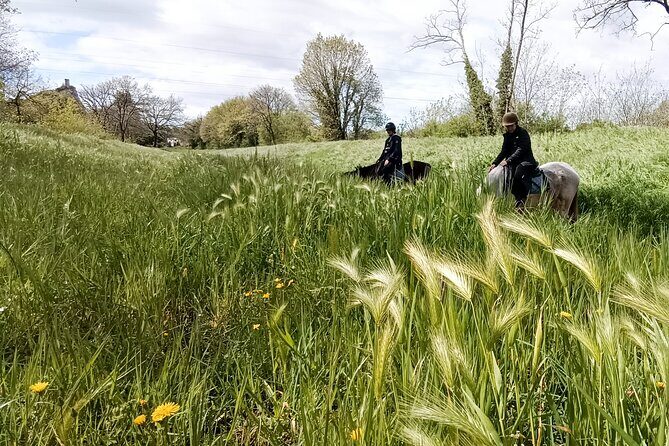Horseback riding and aperitif 2 hours for beginners - The Sum Up