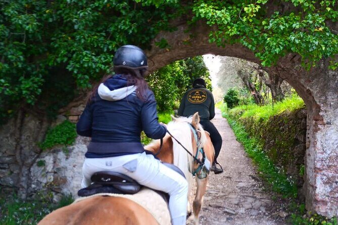Horseback riding and aperitif 2 hours for beginners - FAQs