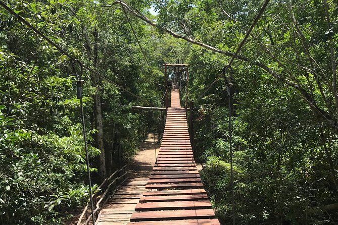 Horseback riding and ATV in the jungle. Zip line & cenote in Quintana Roo. - The Sum Up