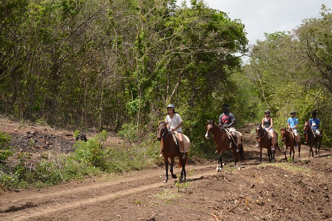 Horseback Riding and Beach BBQ in St Lucia - Horseback Riding Trail